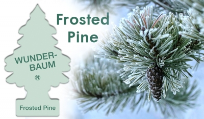 Odświeżacz Wunder Baum - Frosted Pine